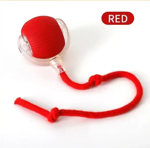 Interactive Magic Tail Cat Toy