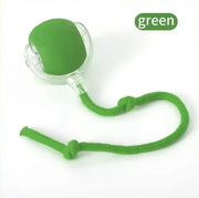 Interactive Magic Tail Cat Toy