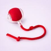 Interactive Magic Tail Cat Toy